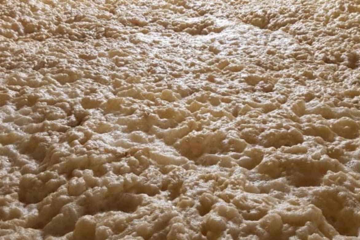 The Role of Yeast in Beer Bitterness