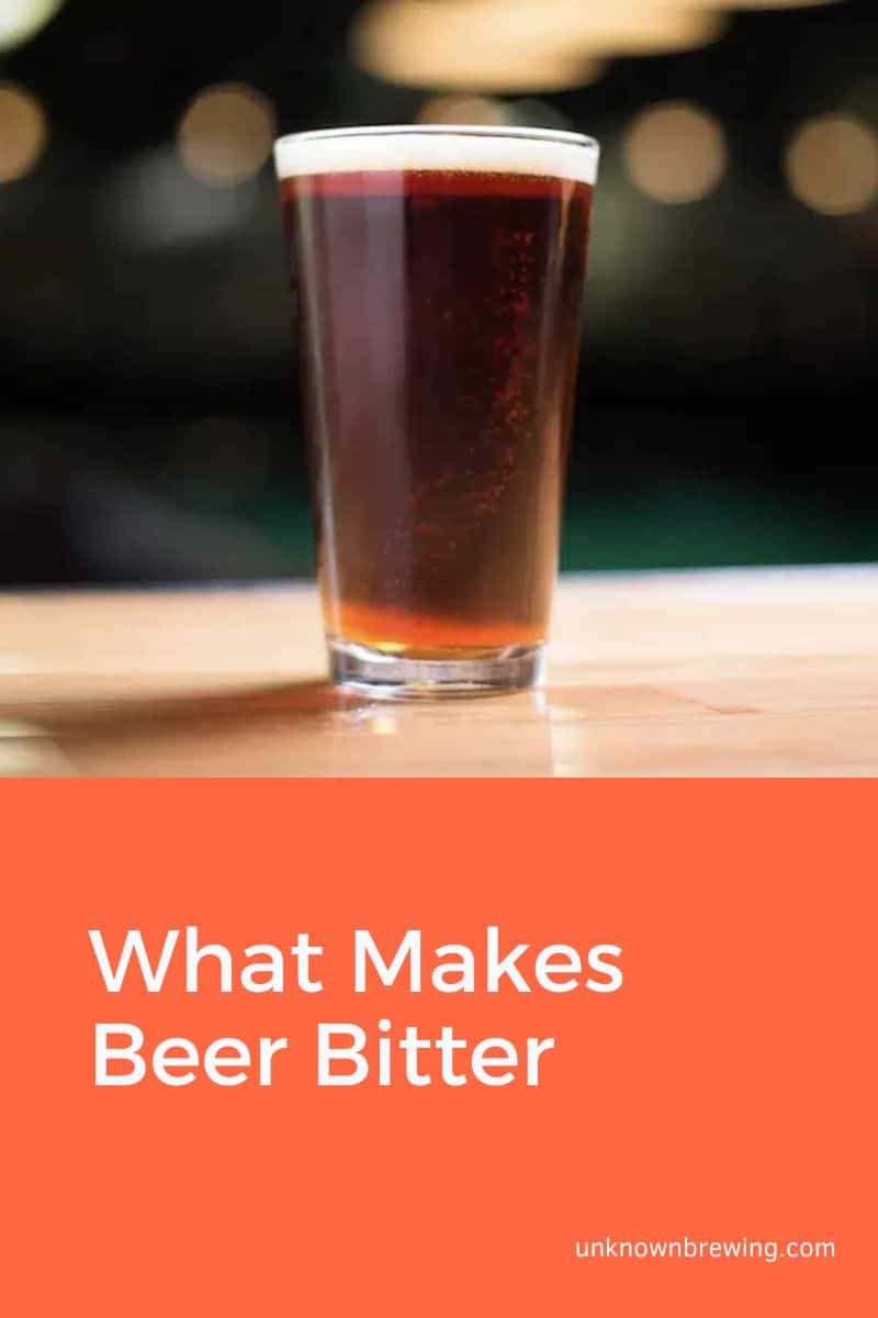 Unlocking the Mystery of What Makes Beer Bitter