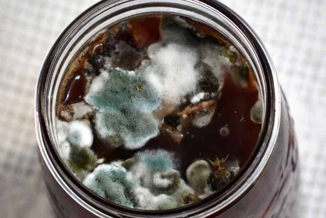 What Do I Do If My Beer Has Mold
