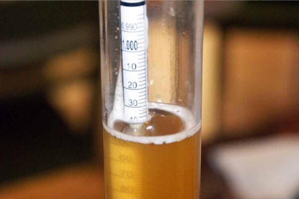 How to Use and Read a Hydrometer?