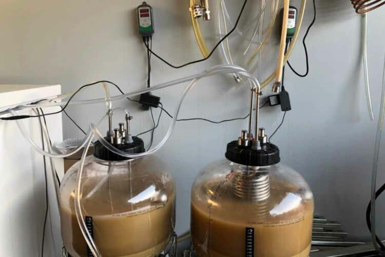 Pressurized Fermentation 101 The Basics You Need to Know