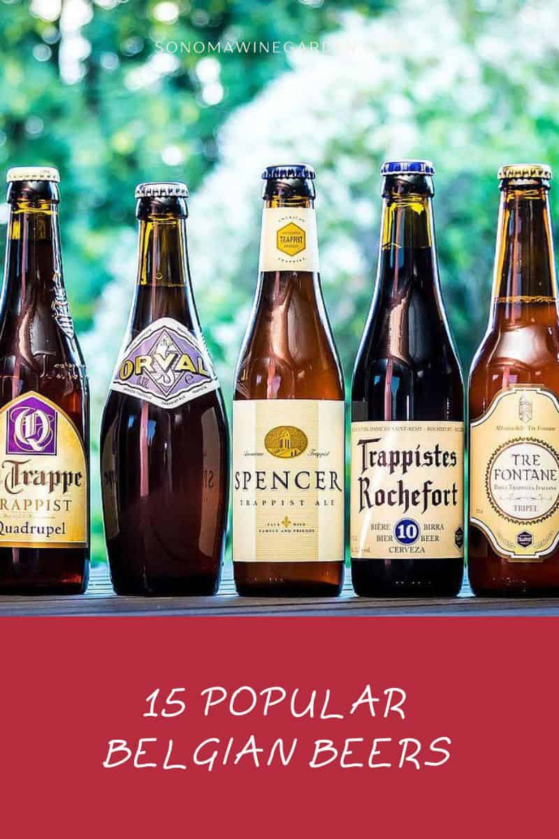 15 Popular Belgian Beers