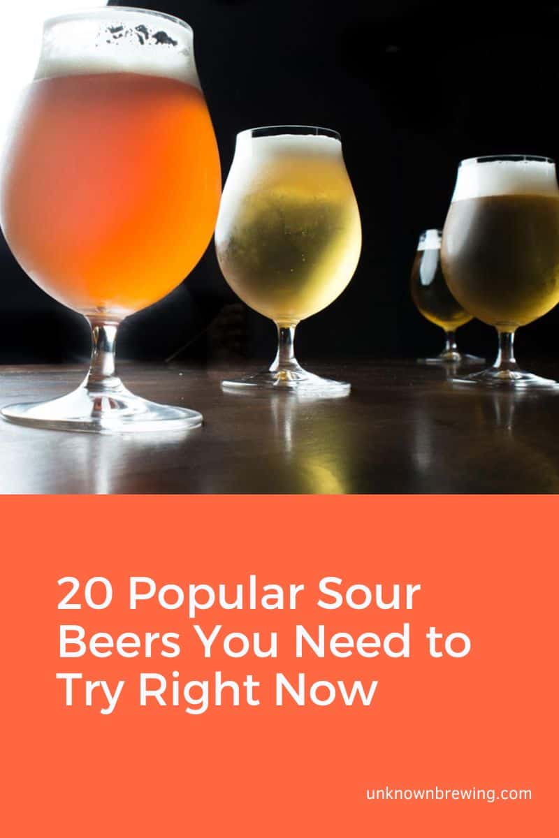 20 Popular Sour Beers You Need to Try Right Now