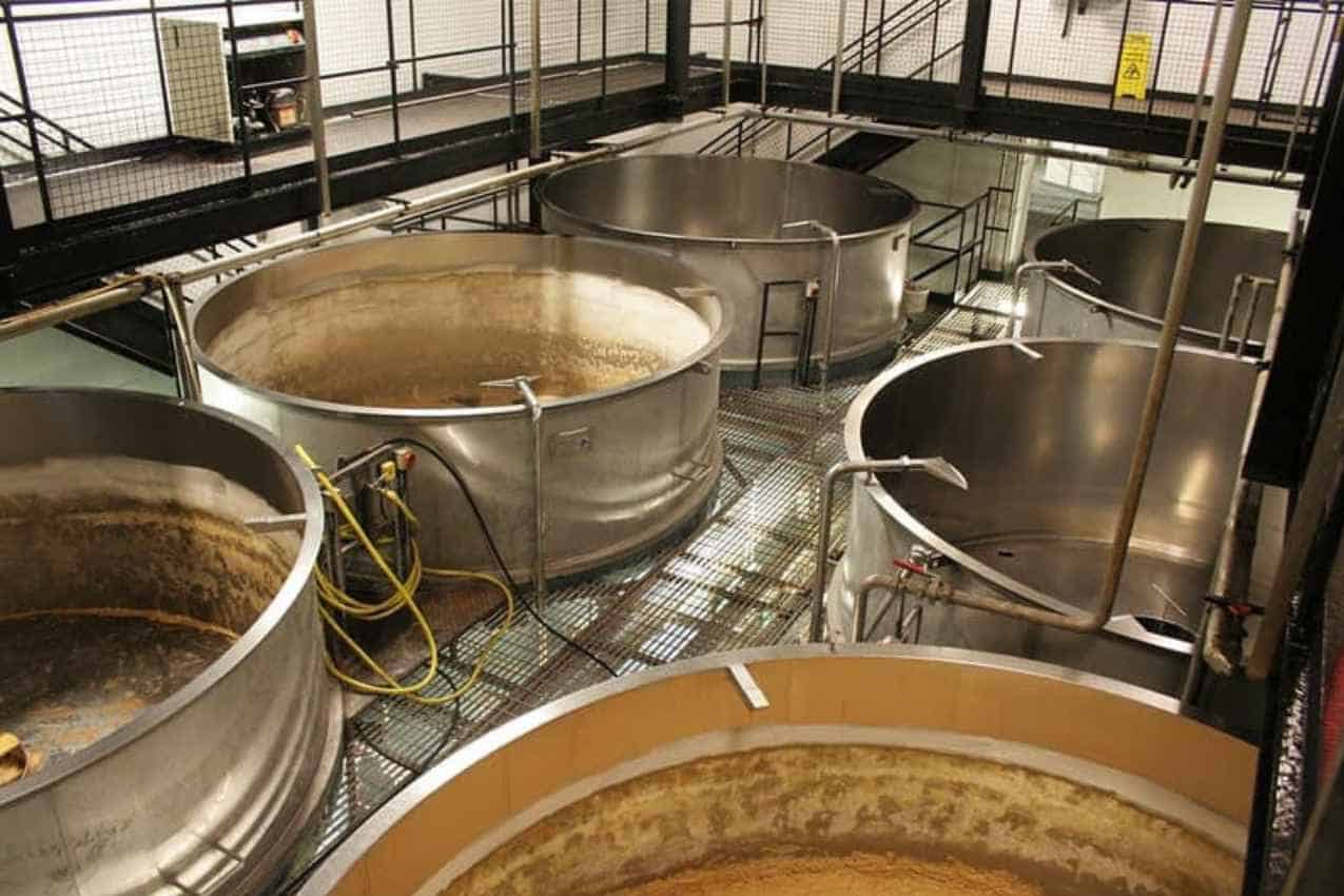 Fermentation