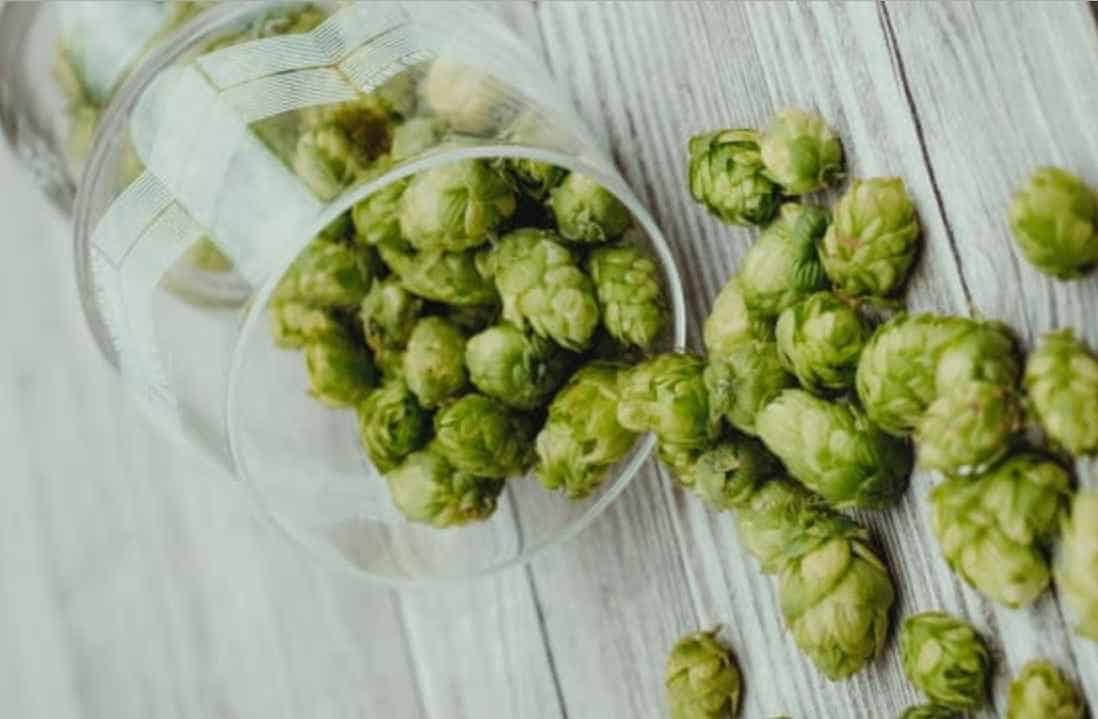 Hop Selection