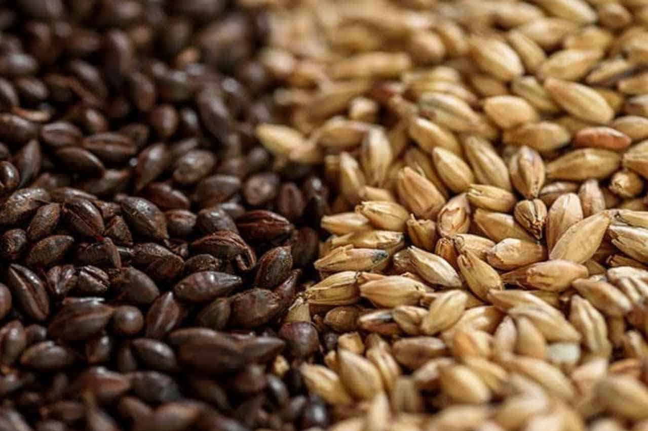 Malt and Fermentables