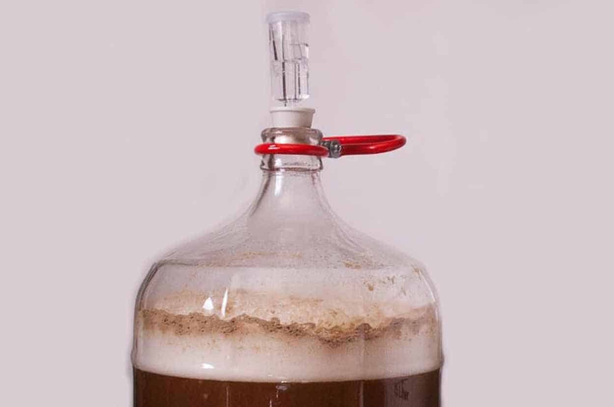 beer Fermentation