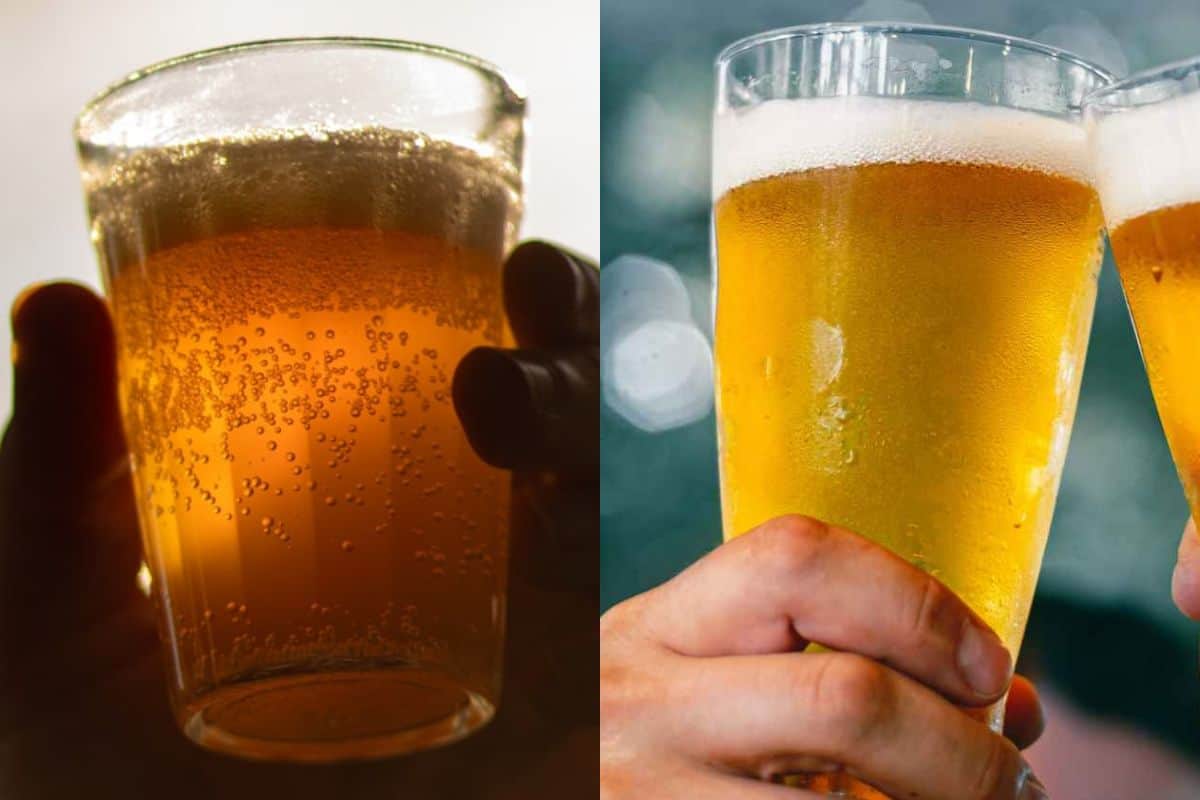 malt-liquor-vs-beer