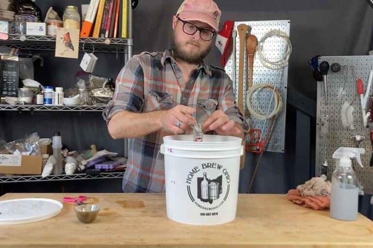 10 Steps to Make Plum Wine (StepbyStep Guide)