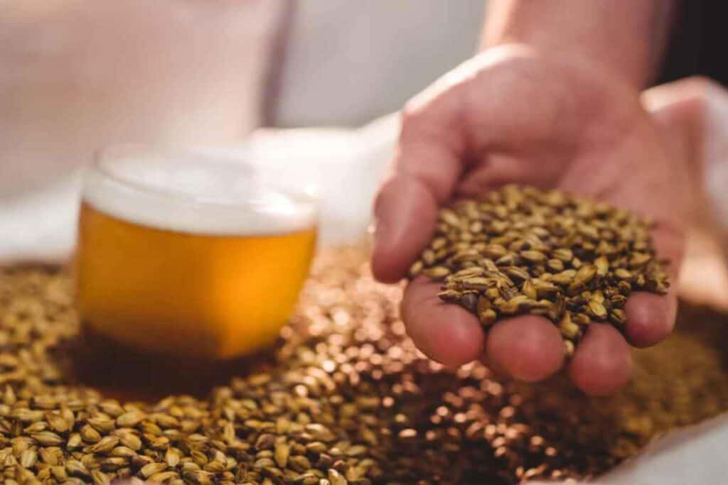 5 Easy Steps to Brew Blonde Ale