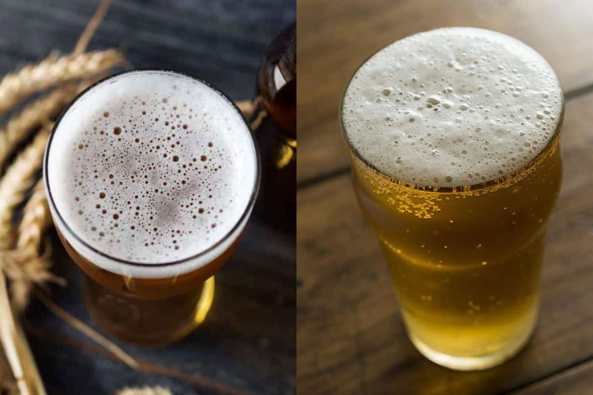 Lager vs Wheat Beer Flavor Profile