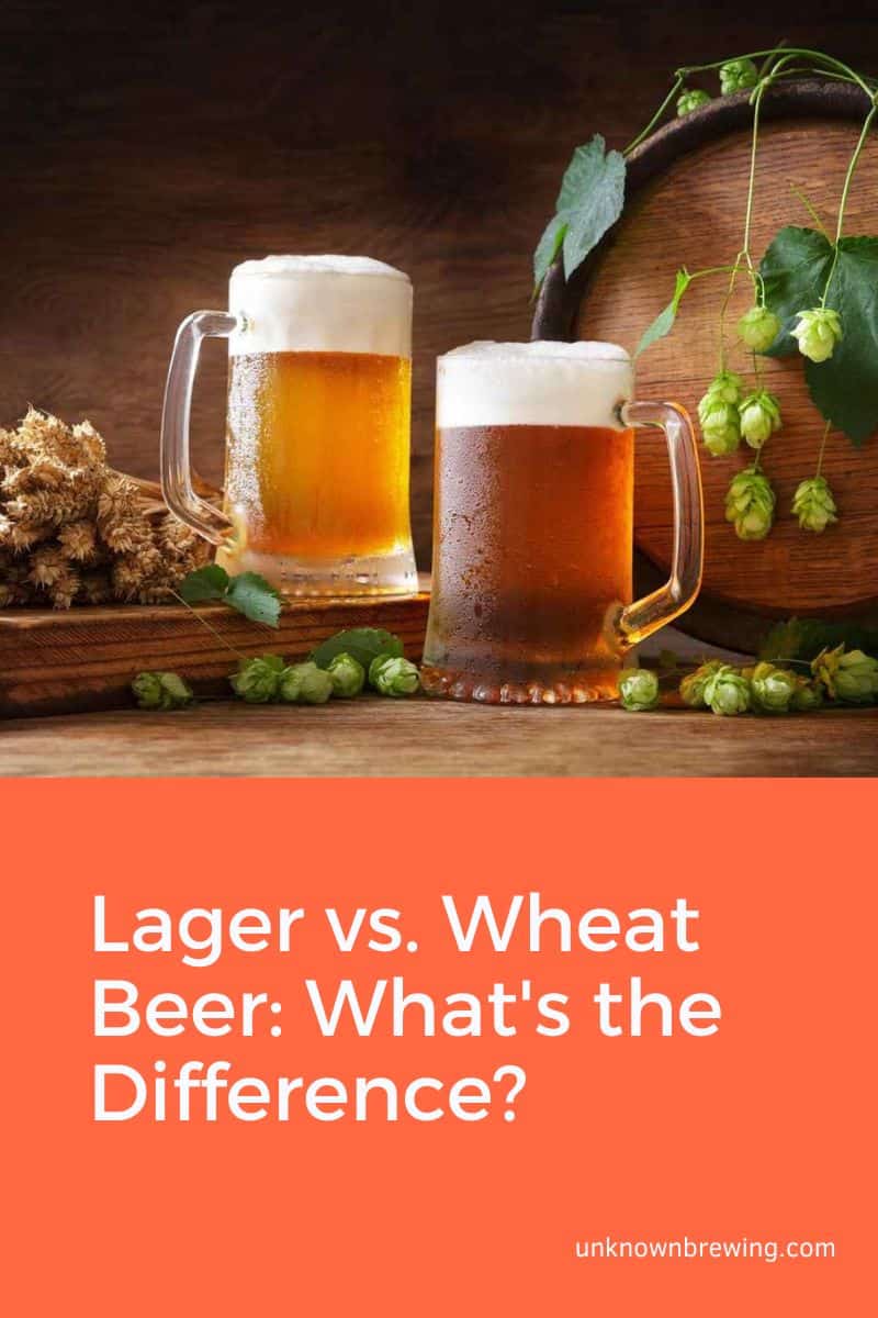 Lager vs. Wheat Beer What's the Difference