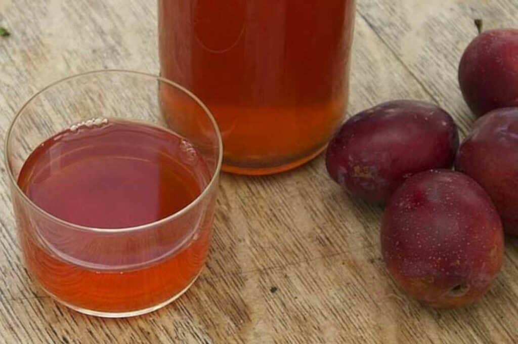 10 Steps to Make Plum Wine (StepbyStep Guide)