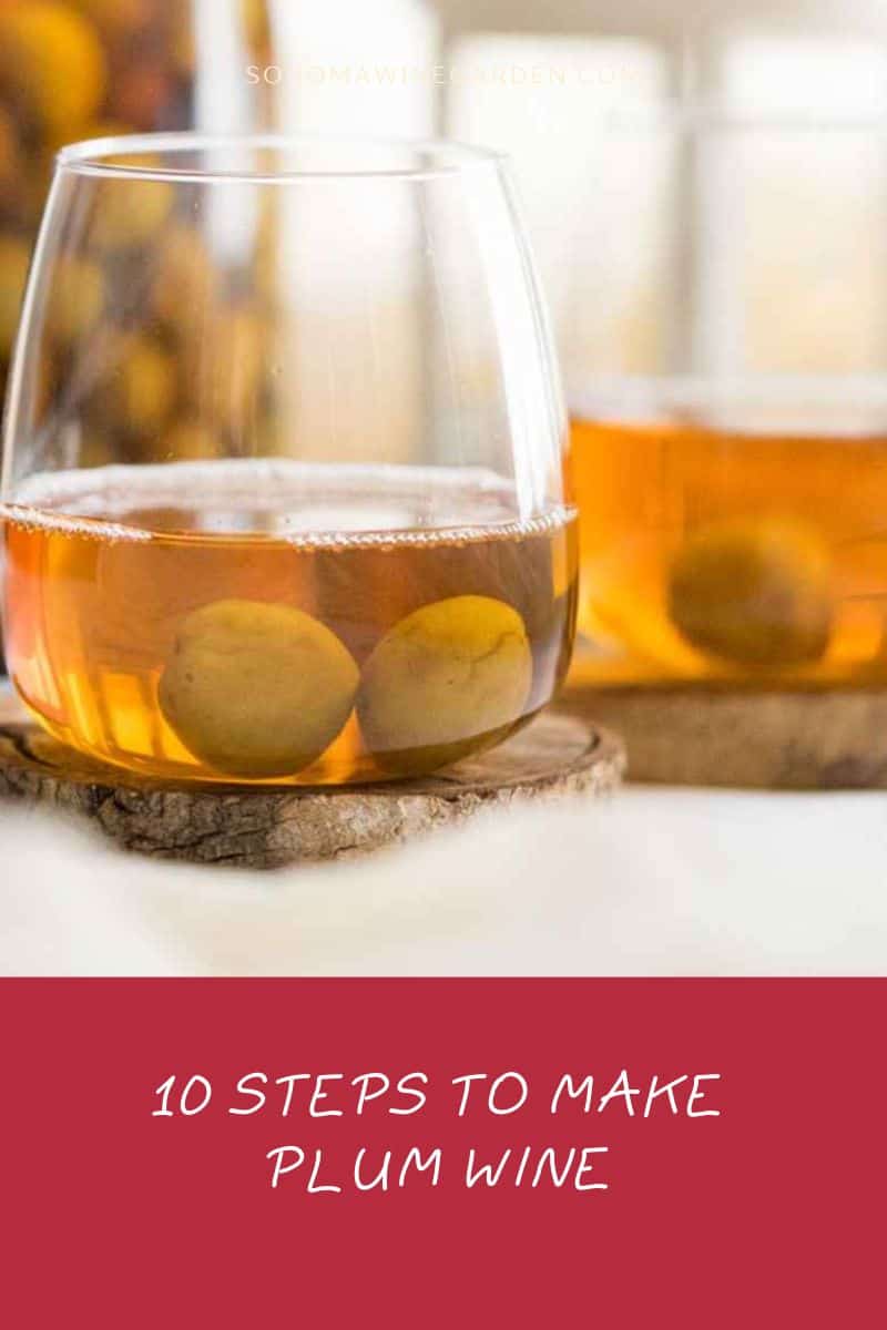 10 Steps to Make Plum Wine (Step-by-Step Guide)
