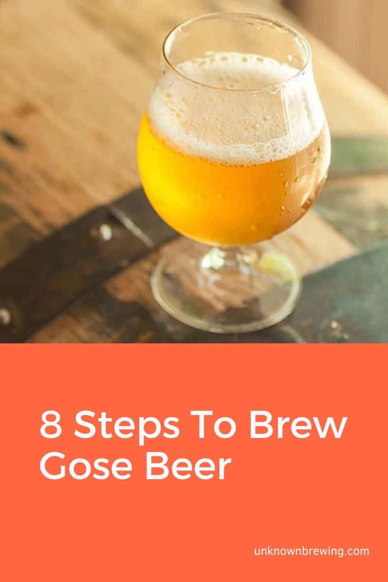 8 Steps To Brew Gose Beer (Step-by-Step Guide)