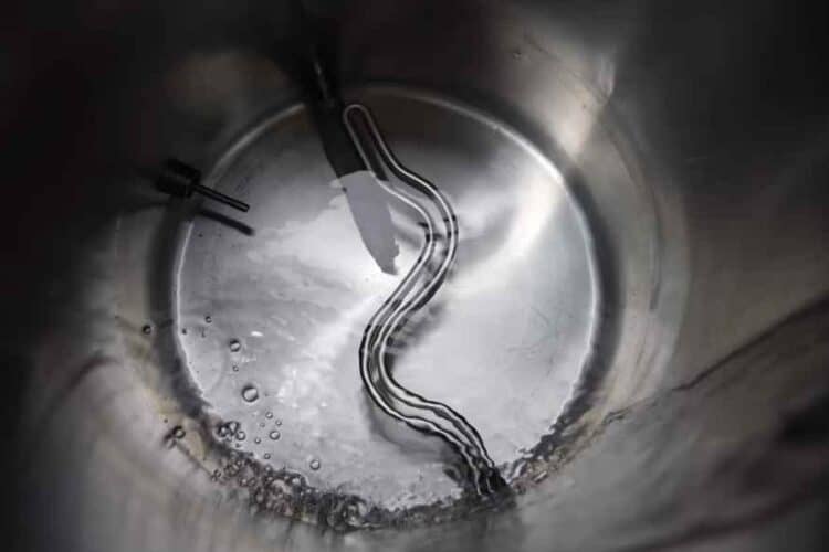 8 Steps To Brew Gose Beer (StepbyStep Guide)