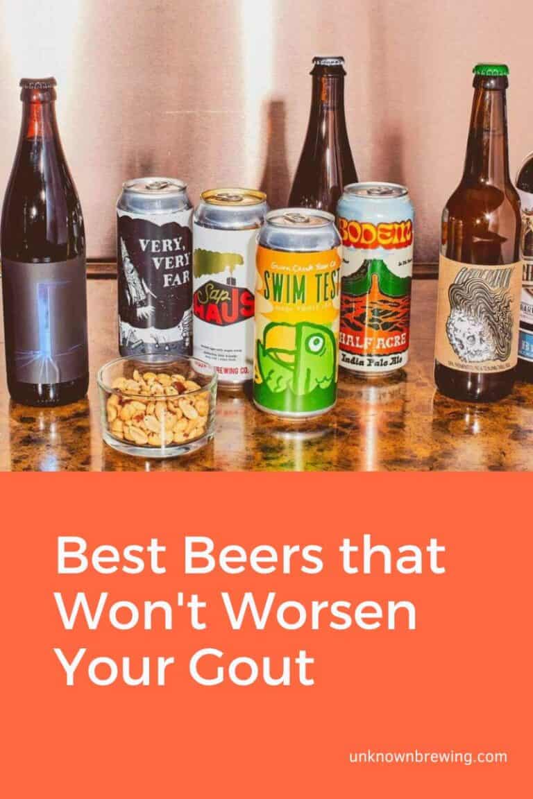 12 Best Beers that Won't Worsen Your Gout