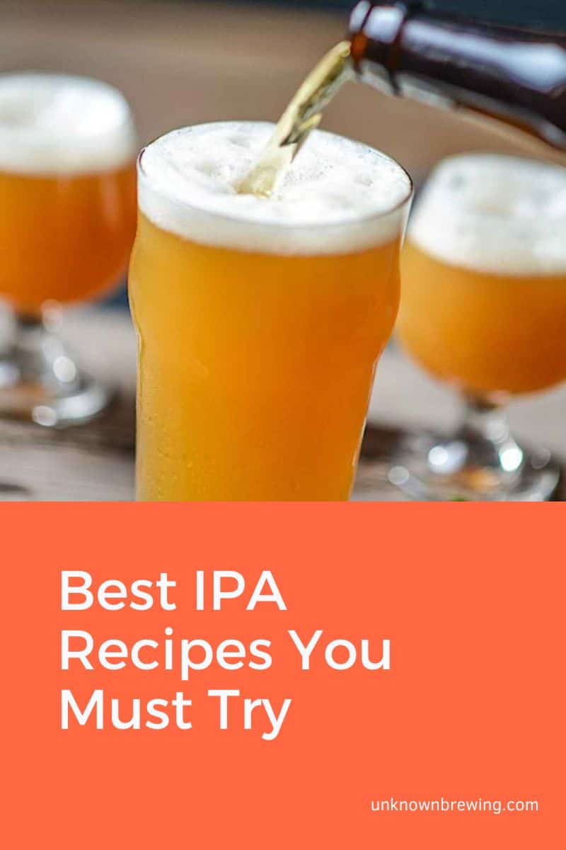 Best IPA Recipes You Must Try