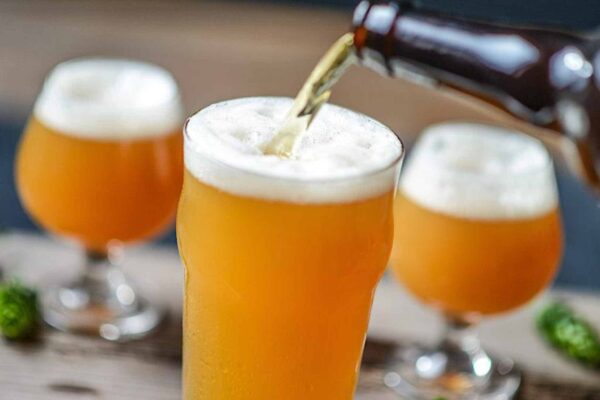 16 Best IPA Recipes You Must Try