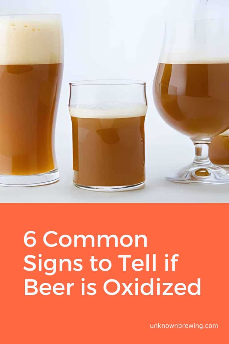6 Common Signs to Tell if Beer is Oxidized