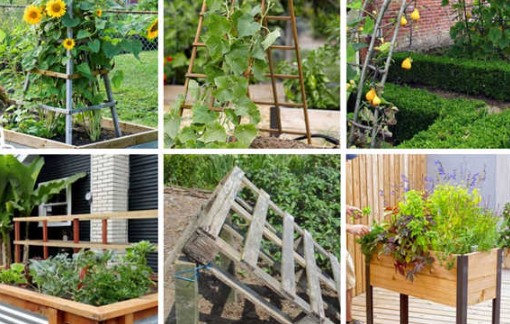 14 DIY Cucumber Trellis Ideas