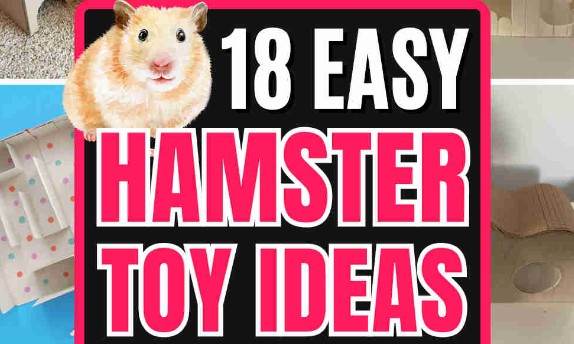 18 Creative DIY Hamster Toy Designs & Plans for Engaging Playtime