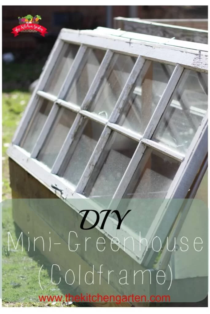 A Coldframe Green House with Easy Access