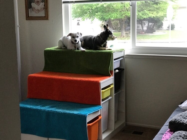 A Cozy Window Seat for Your Feline Friend
