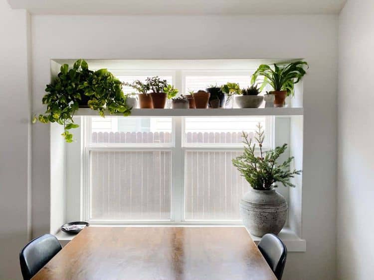 27 Charming DIY Window Plant Shelf Ideas for Green Spaces