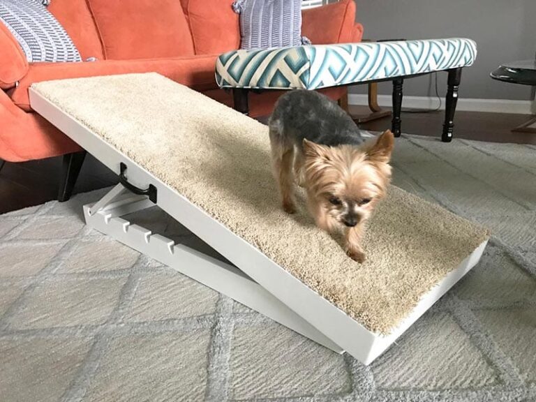 Adjustable Ramp for Your Furry Friend