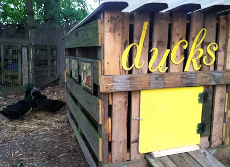 Affordable and Rustic Duck House Designs