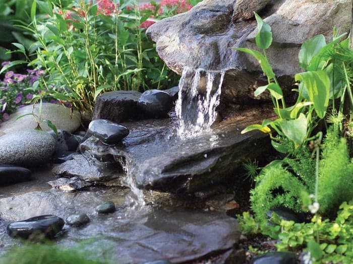 Answer the Call of the Water