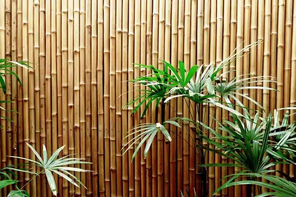 Bamboo for Your Pallet Fence