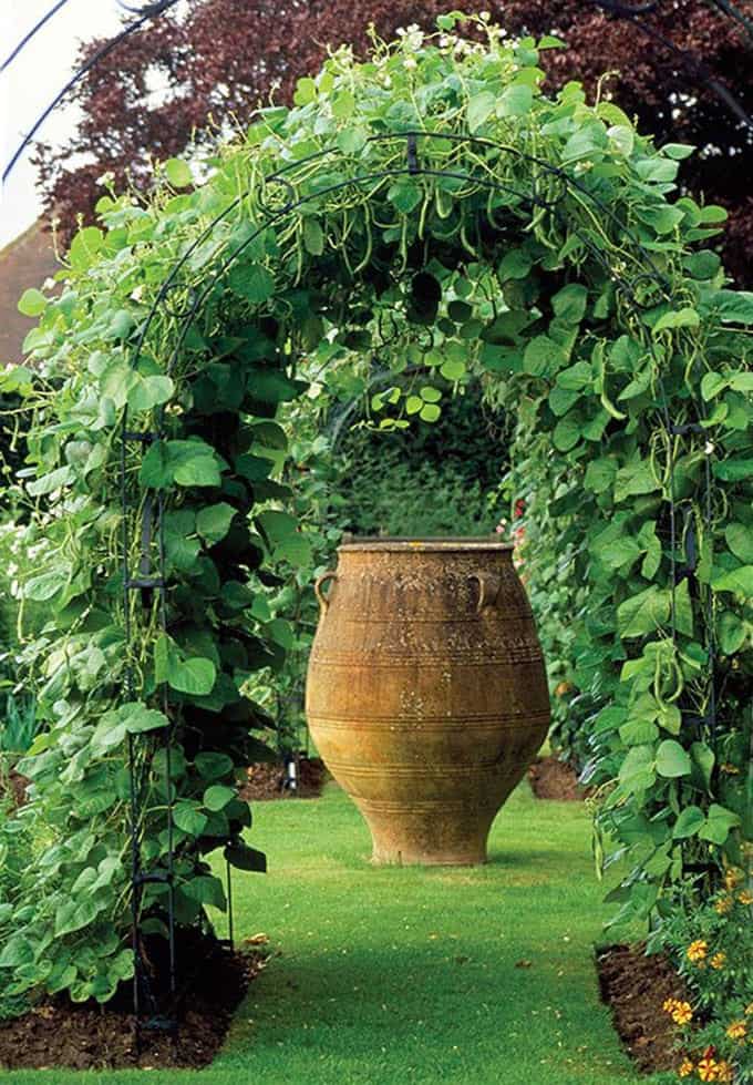  Beautiful Plant Trellis for Vegetable Gardens