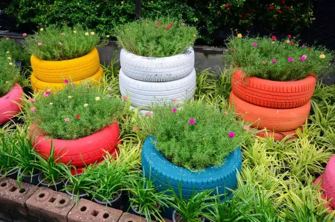  Blooming Tire Planter