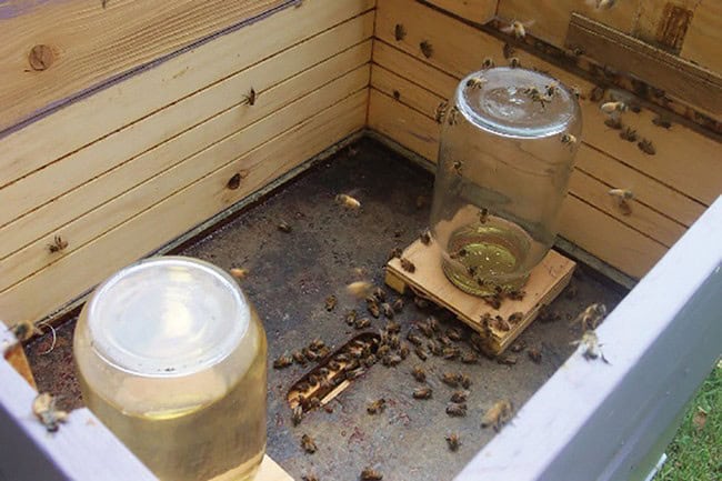Build A Feeder Jar Stand