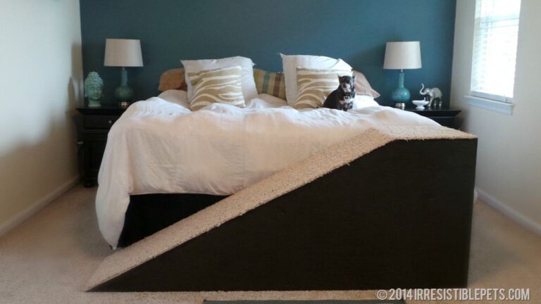 Build Your Own Super Dog Ramp