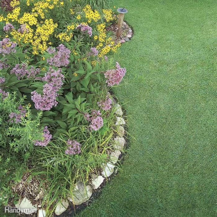 DIY Rain Garden