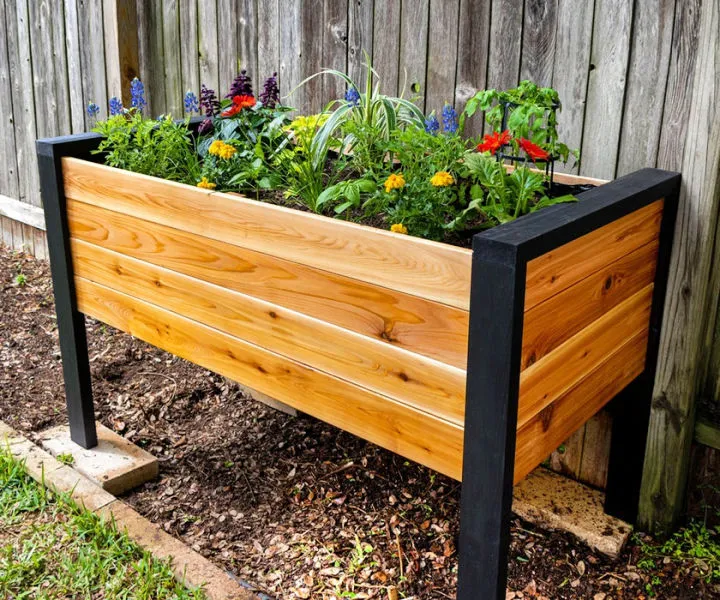 Building A Raised Planter Box