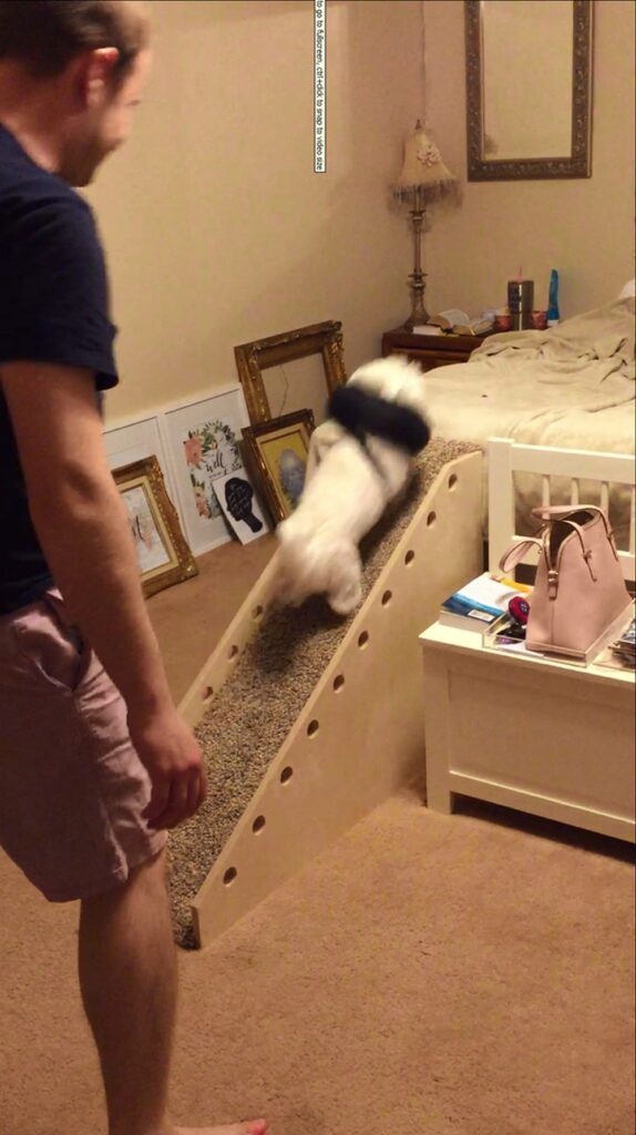 Building Your Own Dog Ramp
