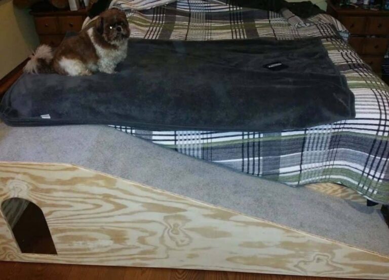 Building a Simple Fold-Up Dog Ramp