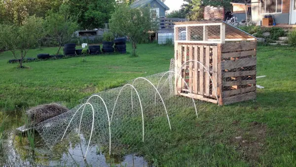 Building a Wooden Pallet Duck House