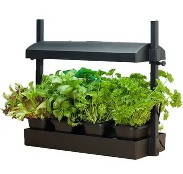Compact Table Top Indoor Greenhouse