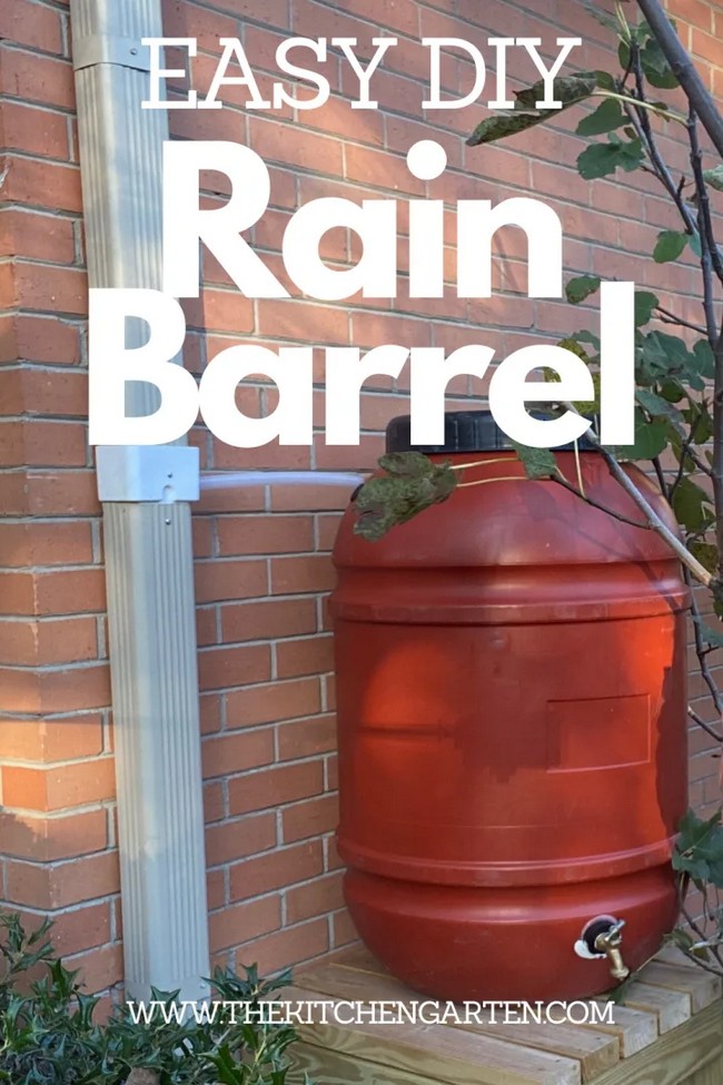 Crafting a Rain Barrel Watering System