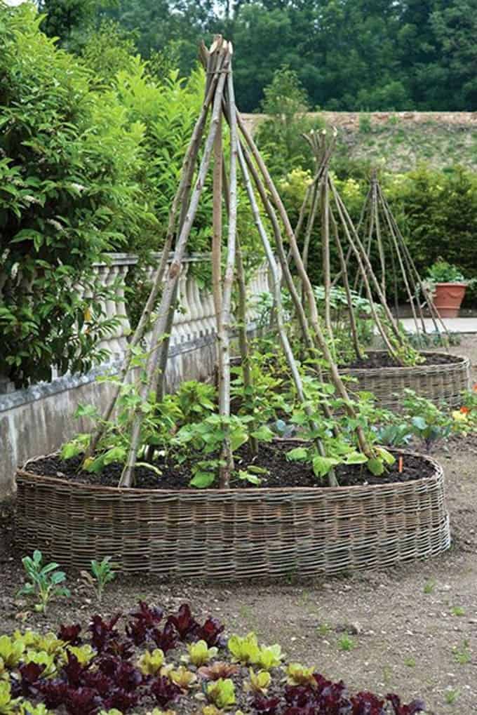  Creative Kitchen Garden Trellis Ideas