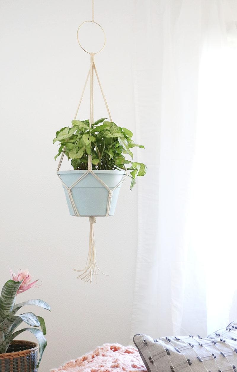 31 DIY Macrame Plant Hangers Ideas & Plans