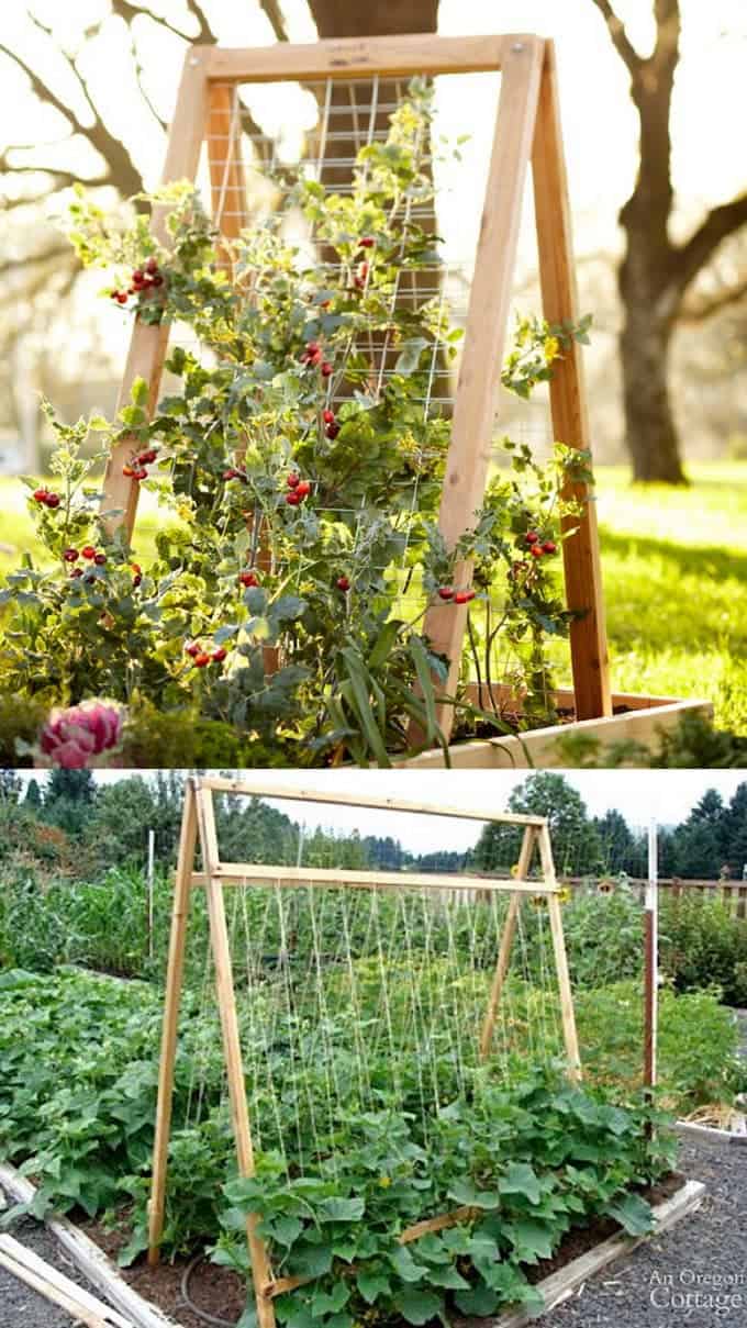  DIY A-Frame Garden Trellis Ideas