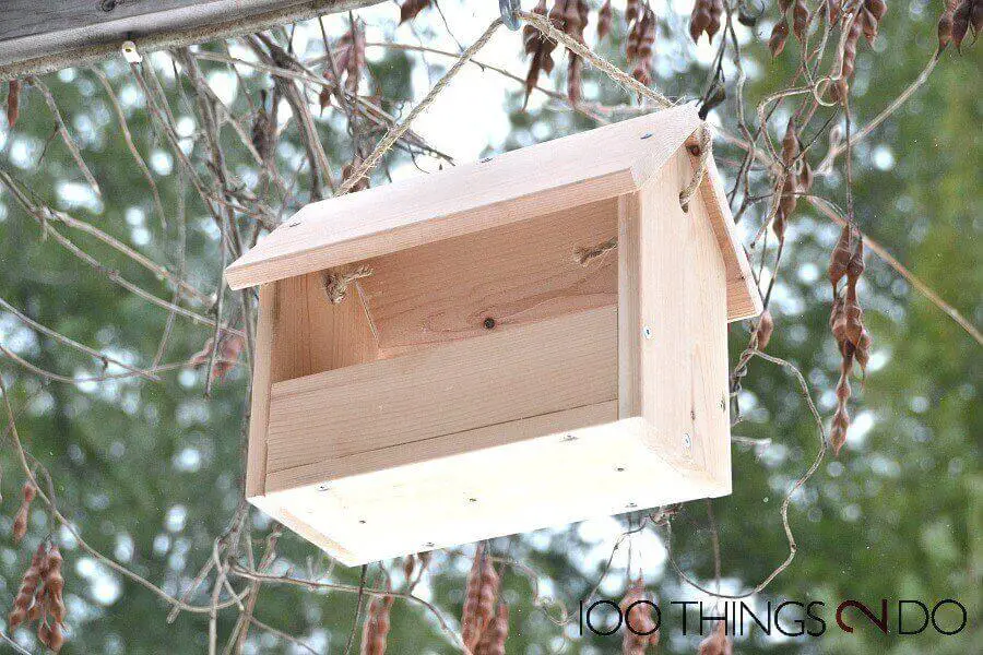 DIY Bird Feeder 100 Things 2 Do