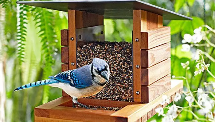 DIY Bird Feeder Lowes