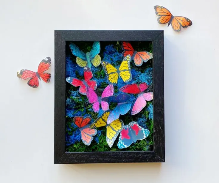 DIY Butterfly Shadow Box